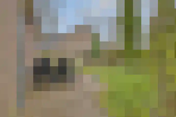 De Zandput 30 Zoutelande thumbnail 34
