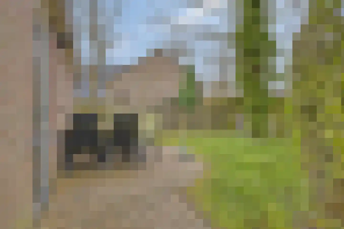 De Zandput 30 Zoutelande thumbnail 34