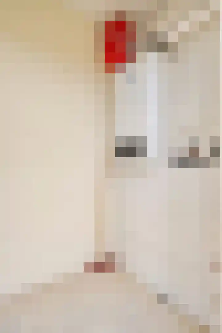 De Zandput 30 Zoutelande thumbnail 36