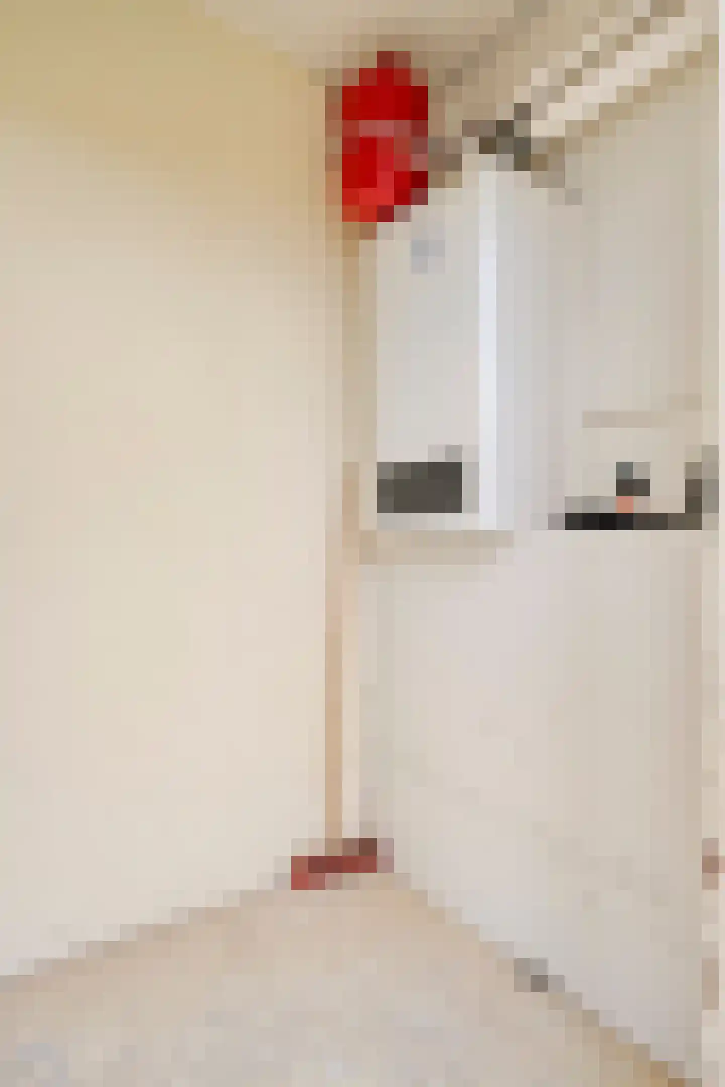 De Zandput 30 Zoutelande thumbnail 36