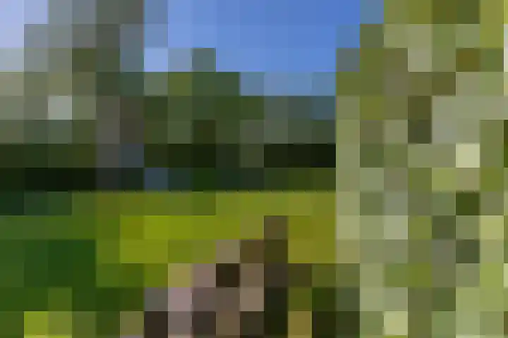 De Zandput 30 Zoutelande thumbnail 37