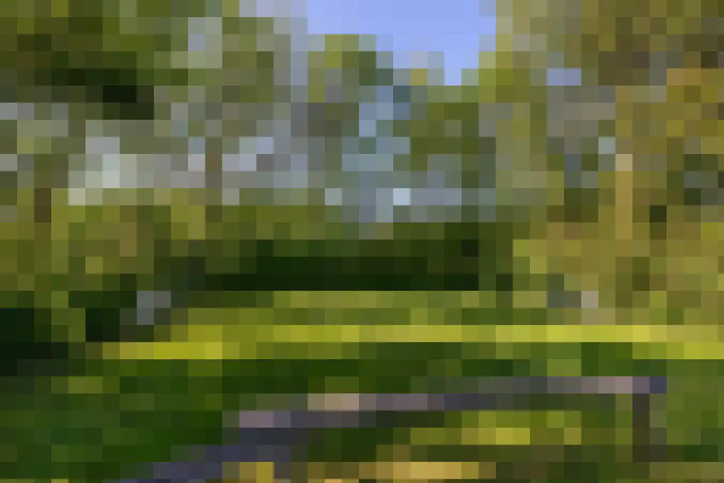 De Zandput 30 Zoutelande thumbnail 38