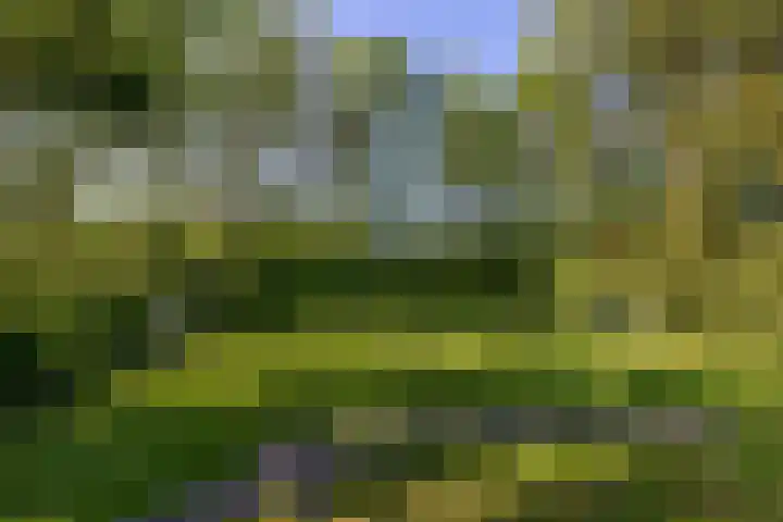 De Zandput 30 Zoutelande thumbnail 38