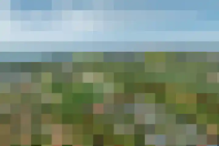 De Zandput 30 Zoutelande thumbnail 39
