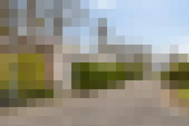 De Zandput 30 Zoutelande thumbnail 6