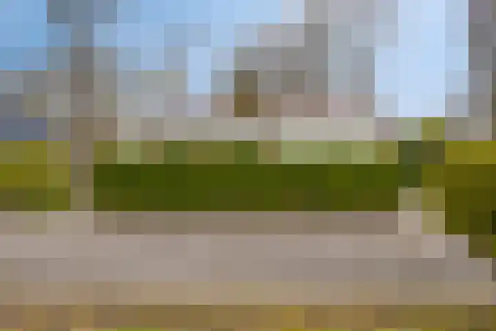 De Zandput 30 Zoutelande thumbnail 8