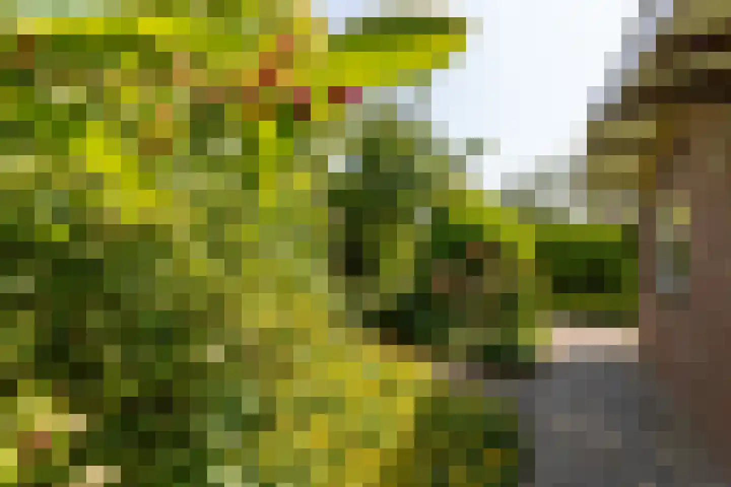De Zandput 43 Zoutelande thumbnail 10