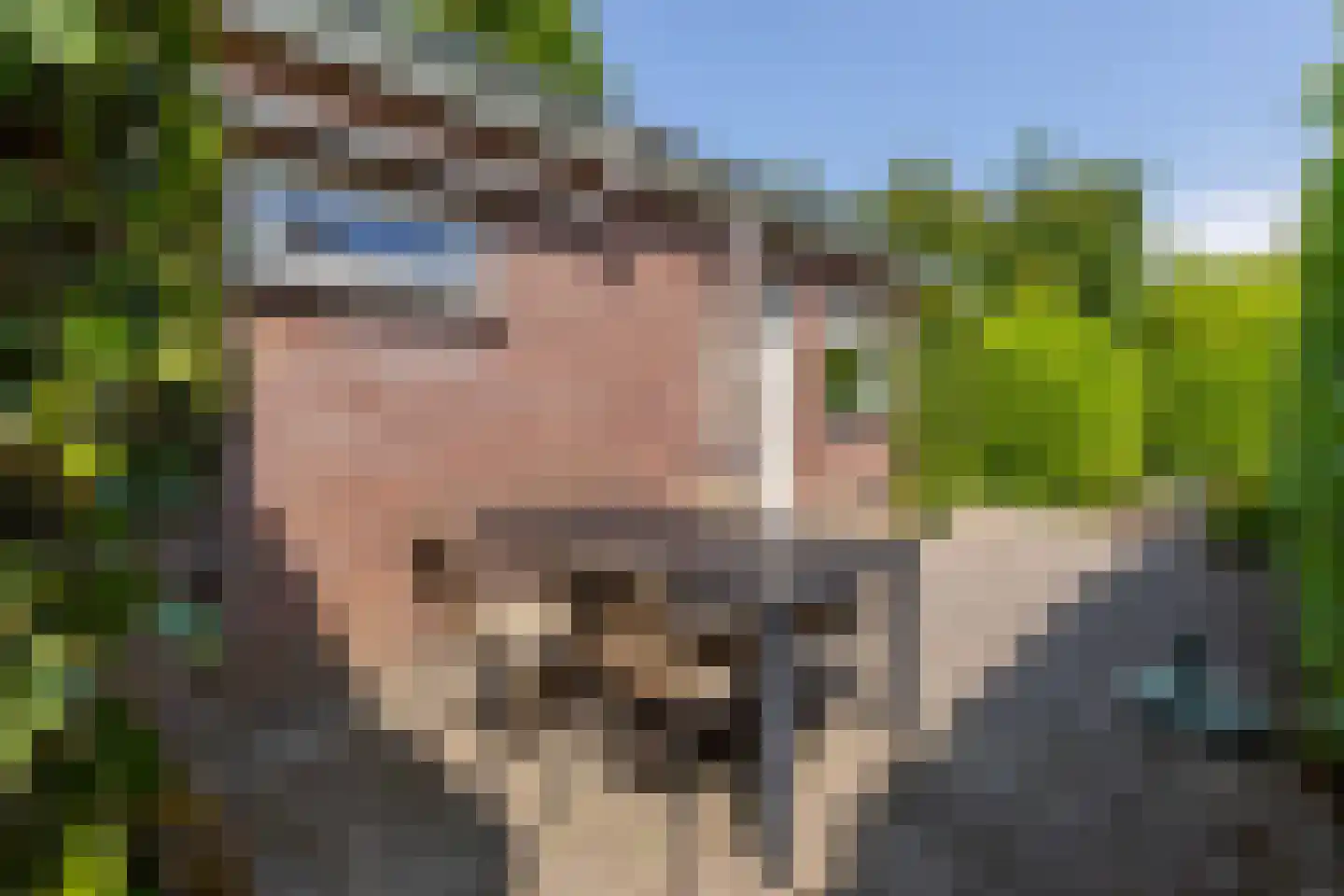 De Zandput 43 Zoutelande thumbnail 11