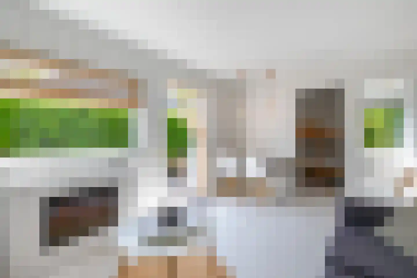 De Zandput 43 Zoutelande thumbnail 13