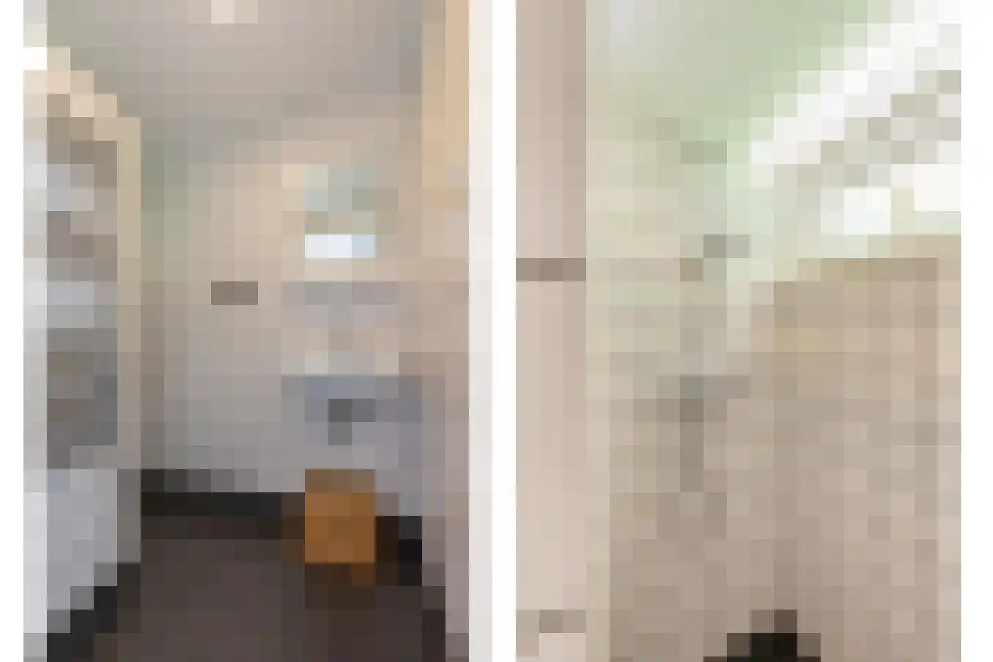De Zandput 43 Zoutelande thumbnail 21