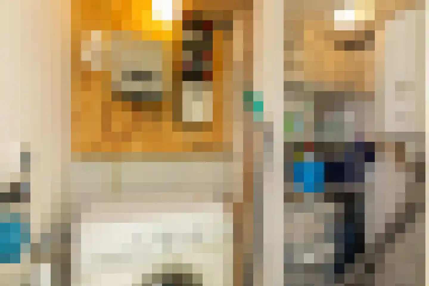 De Zandput 43 Zoutelande thumbnail 23