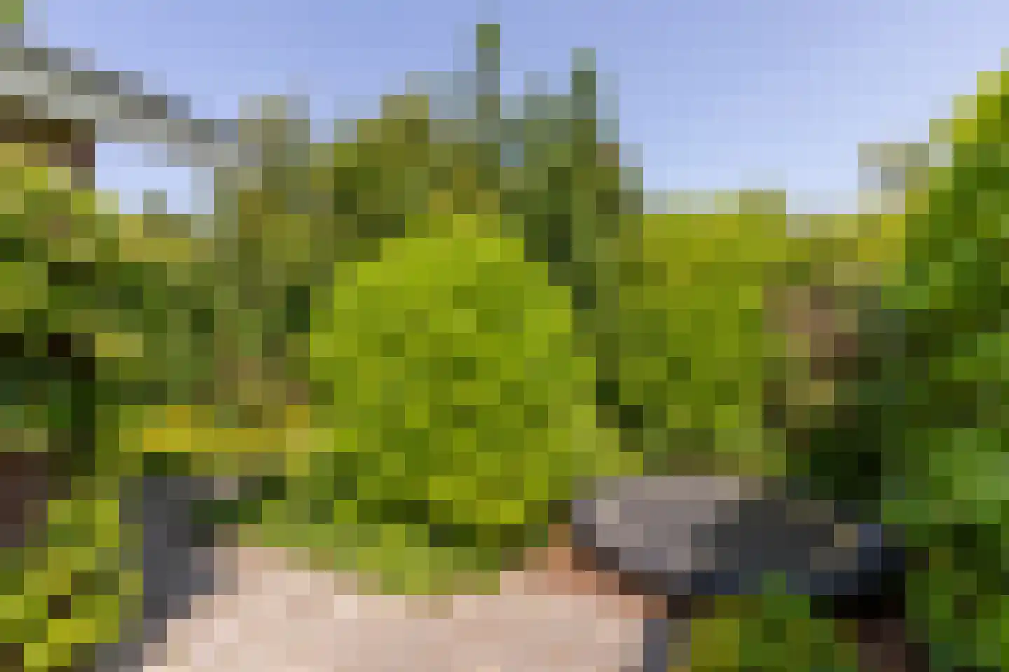 De Zandput 43 Zoutelande thumbnail 25