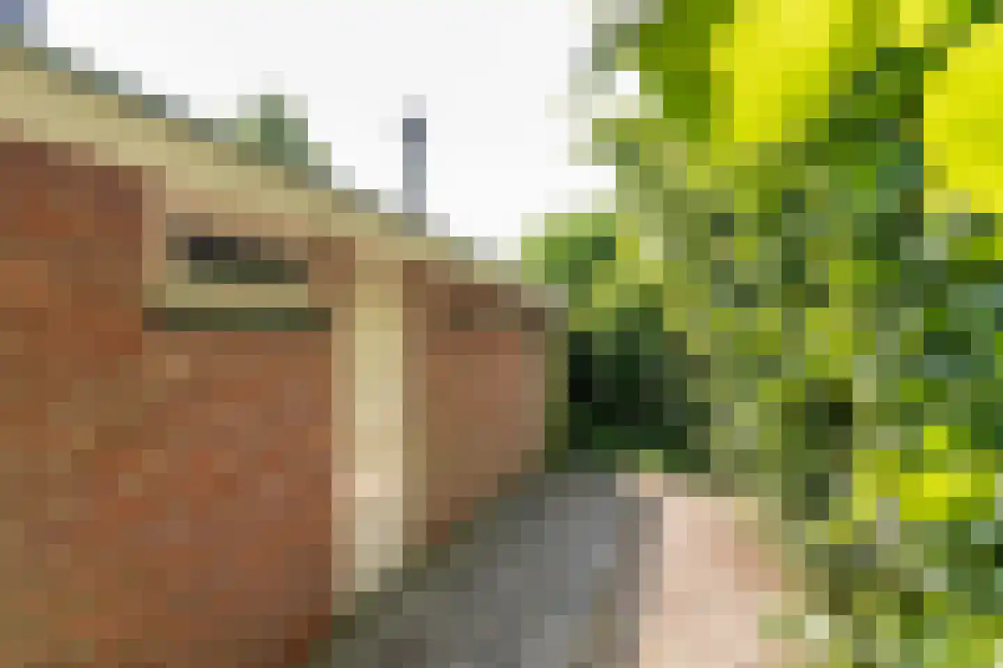 De Zandput 43 Zoutelande thumbnail 28