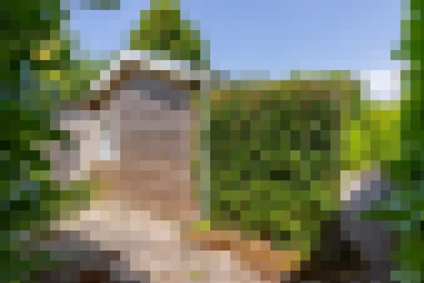 De Zandput 43 Zoutelande thumbnail 29