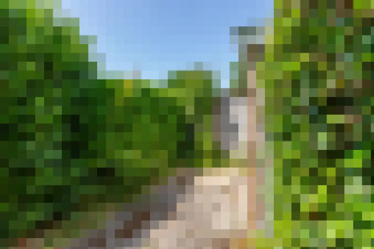 De Zandput 43 Zoutelande thumbnail 30