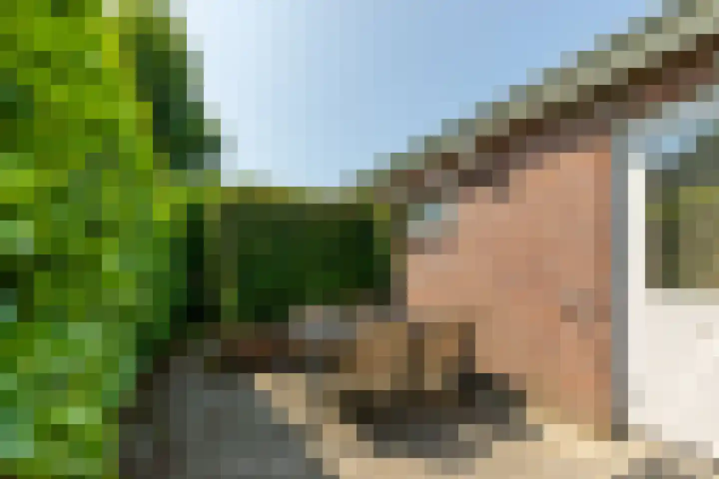 De Zandput 43 Zoutelande thumbnail 31
