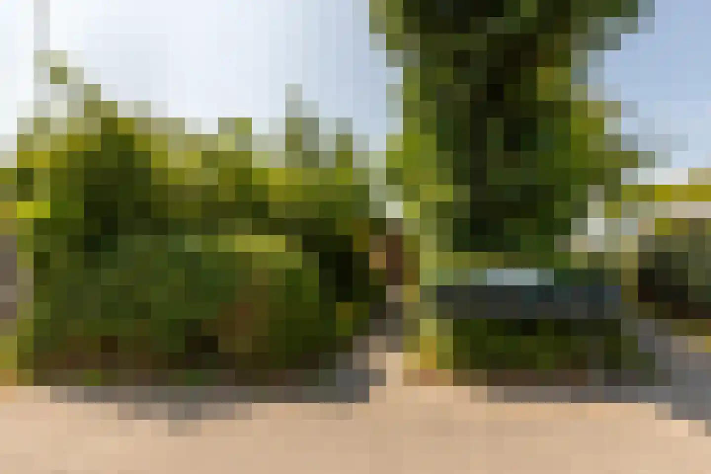De Zandput 43 Zoutelande thumbnail 32