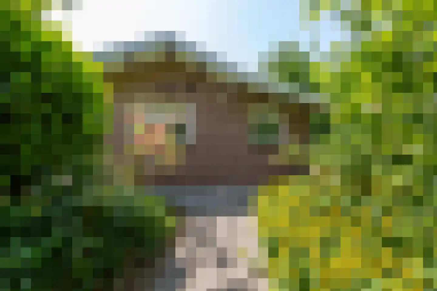 De Zandput 43 Zoutelande thumbnail 9