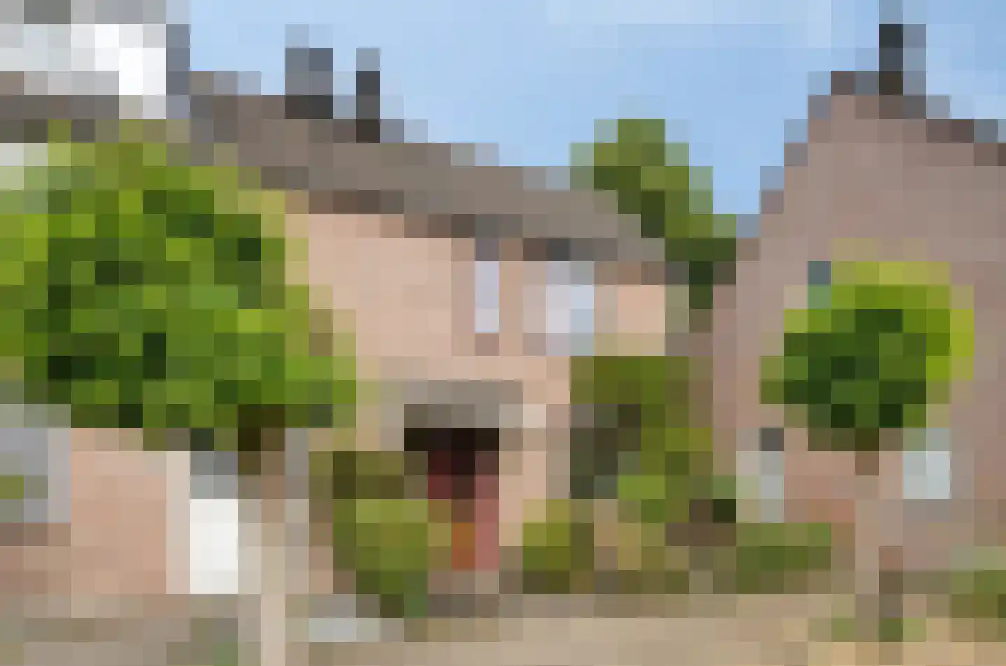 De Zandschel 25 in Nuenen