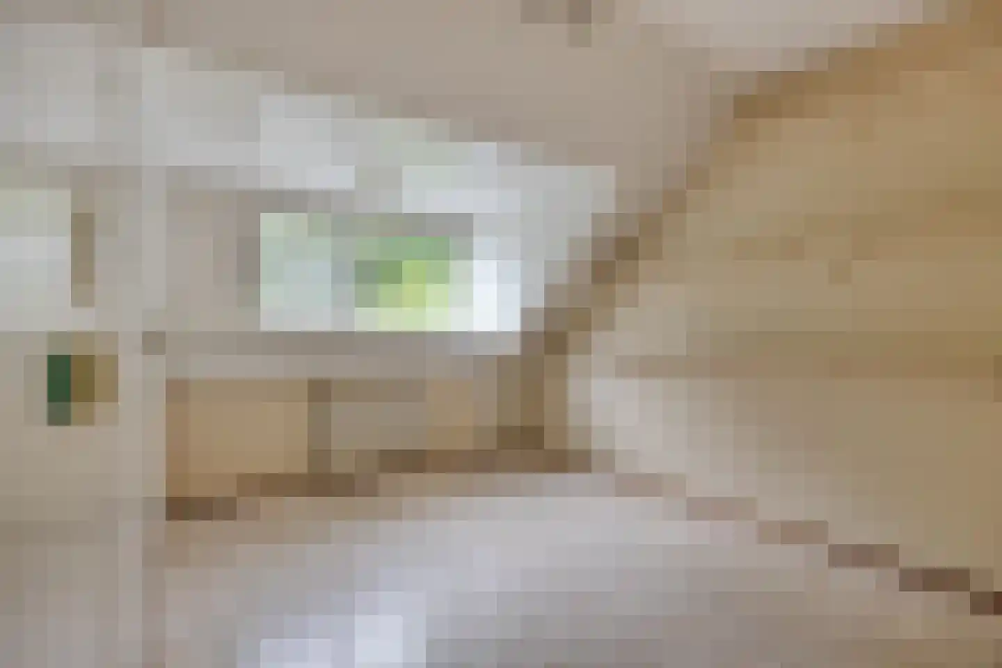 De Zandschel 25 Nuenen thumbnail 11