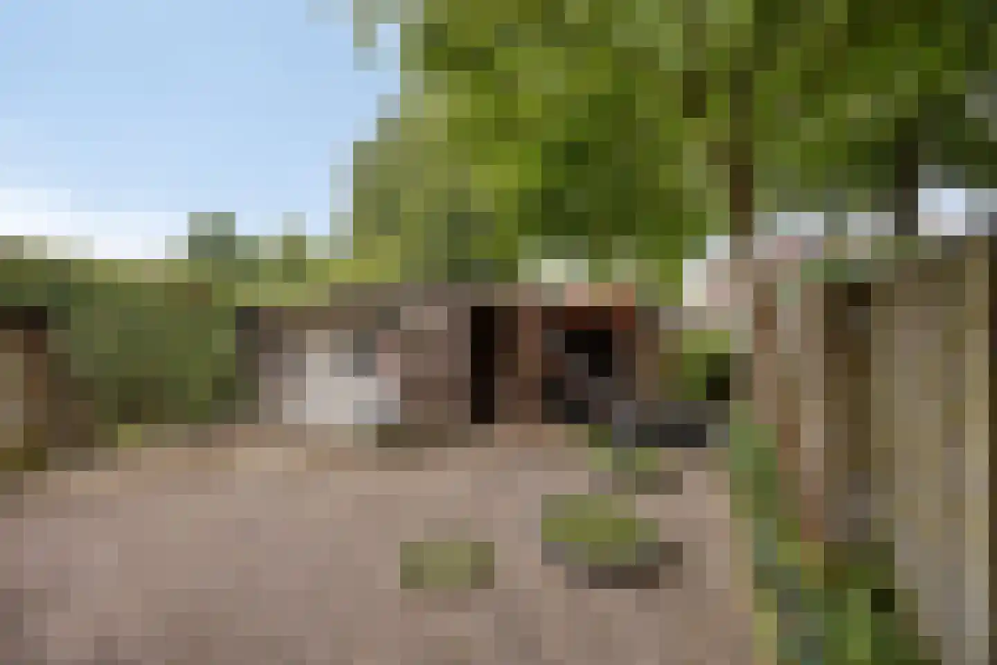 De Zandschel 25 Nuenen thumbnail 18