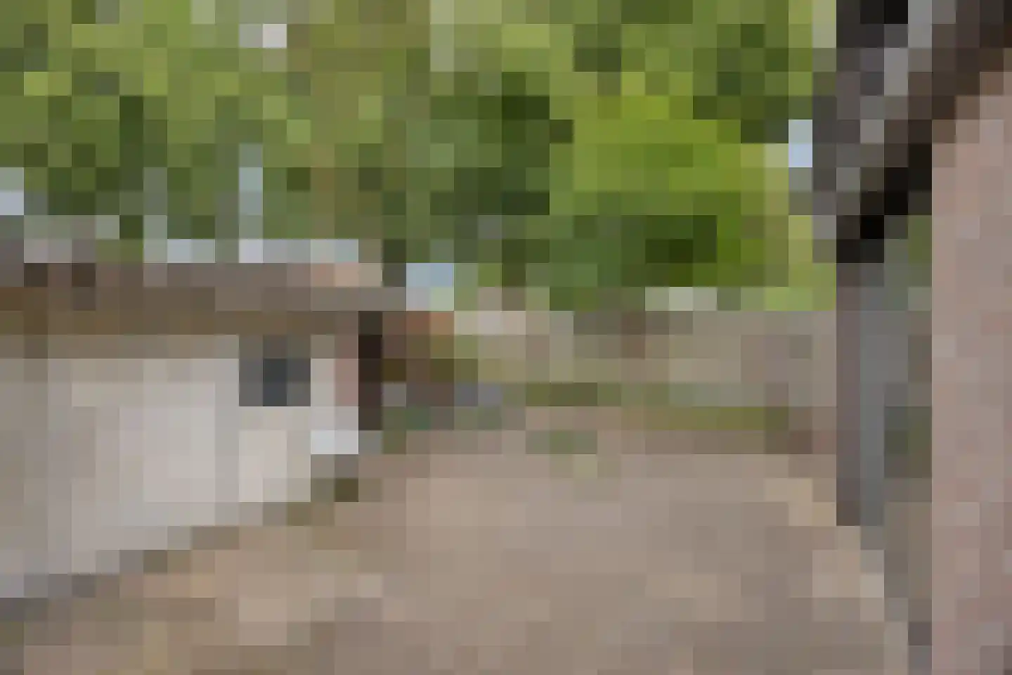 De Zandschel 25 Nuenen thumbnail 19