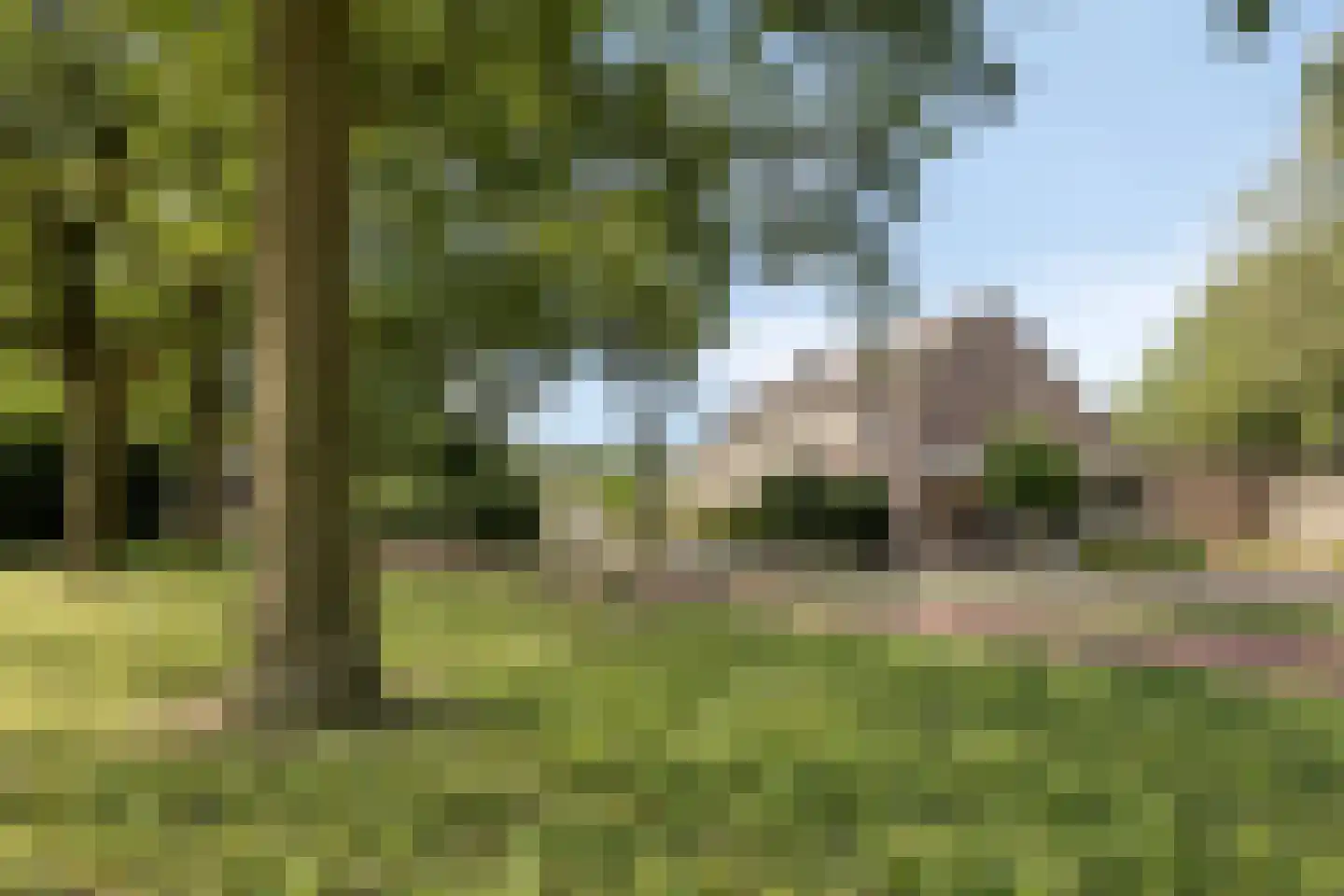 De Zandschel 25 Nuenen thumbnail 21