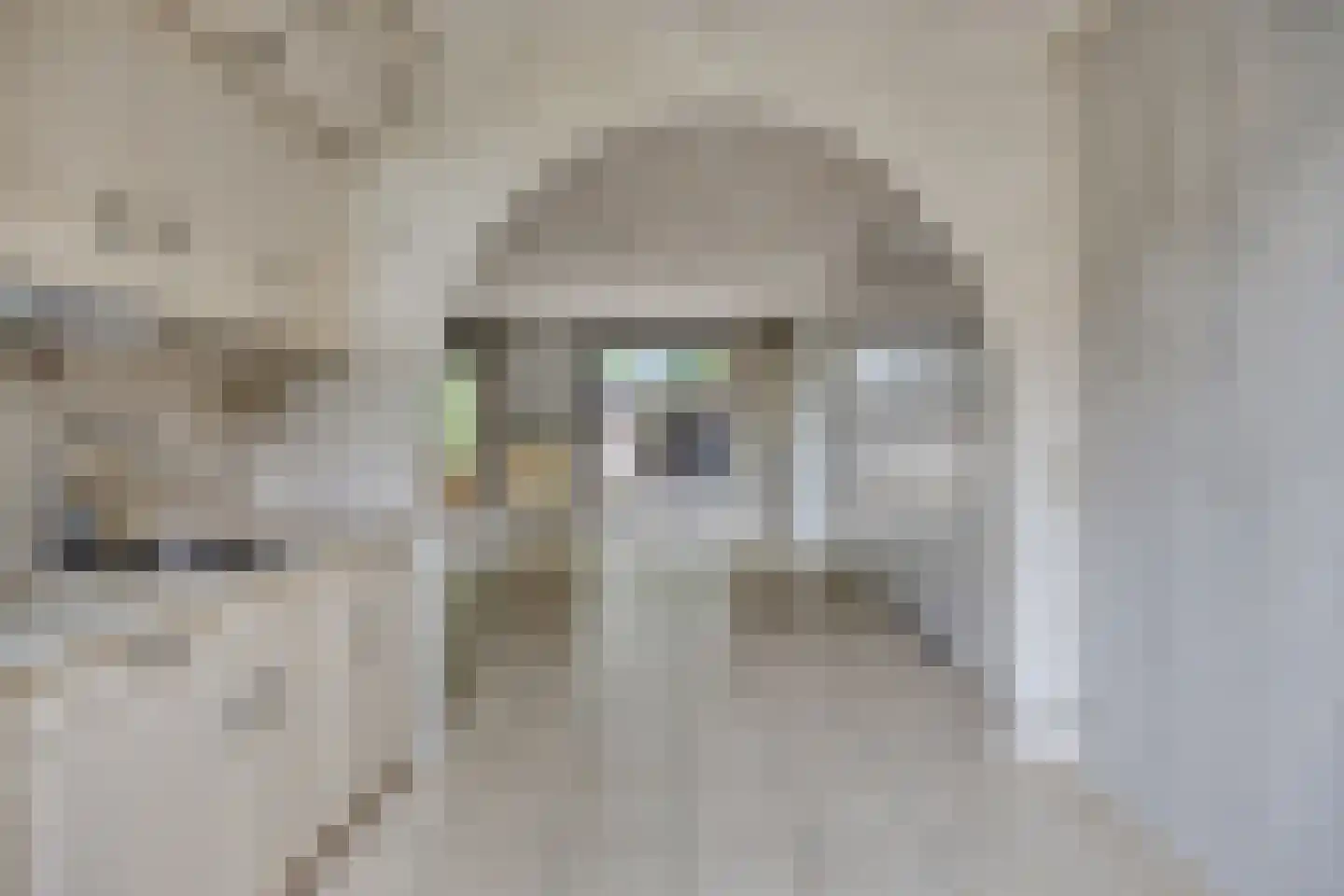 De Zandschel 25 Nuenen thumbnail 6