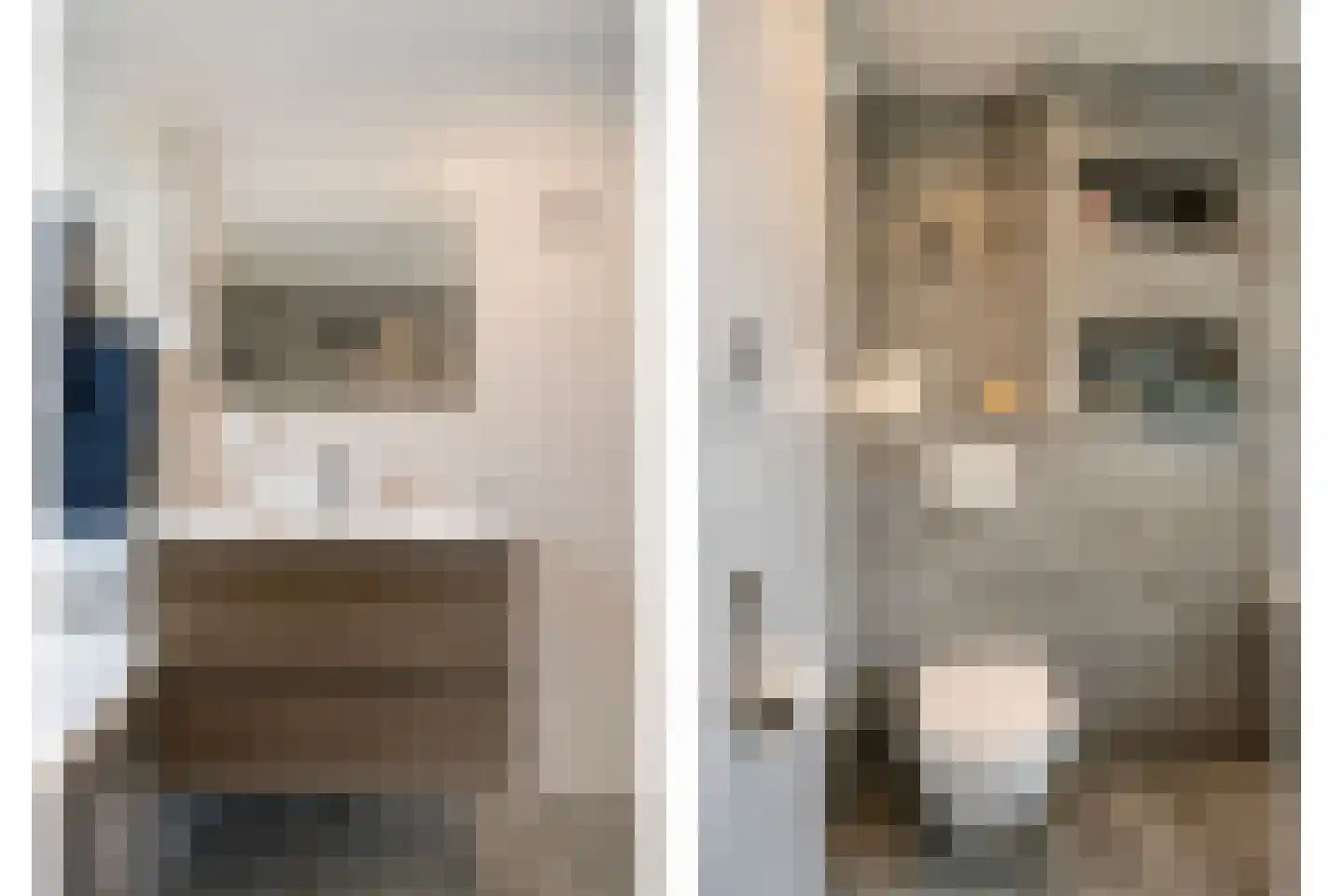 De Zandschel 3 Nuenen thumbnail 15
