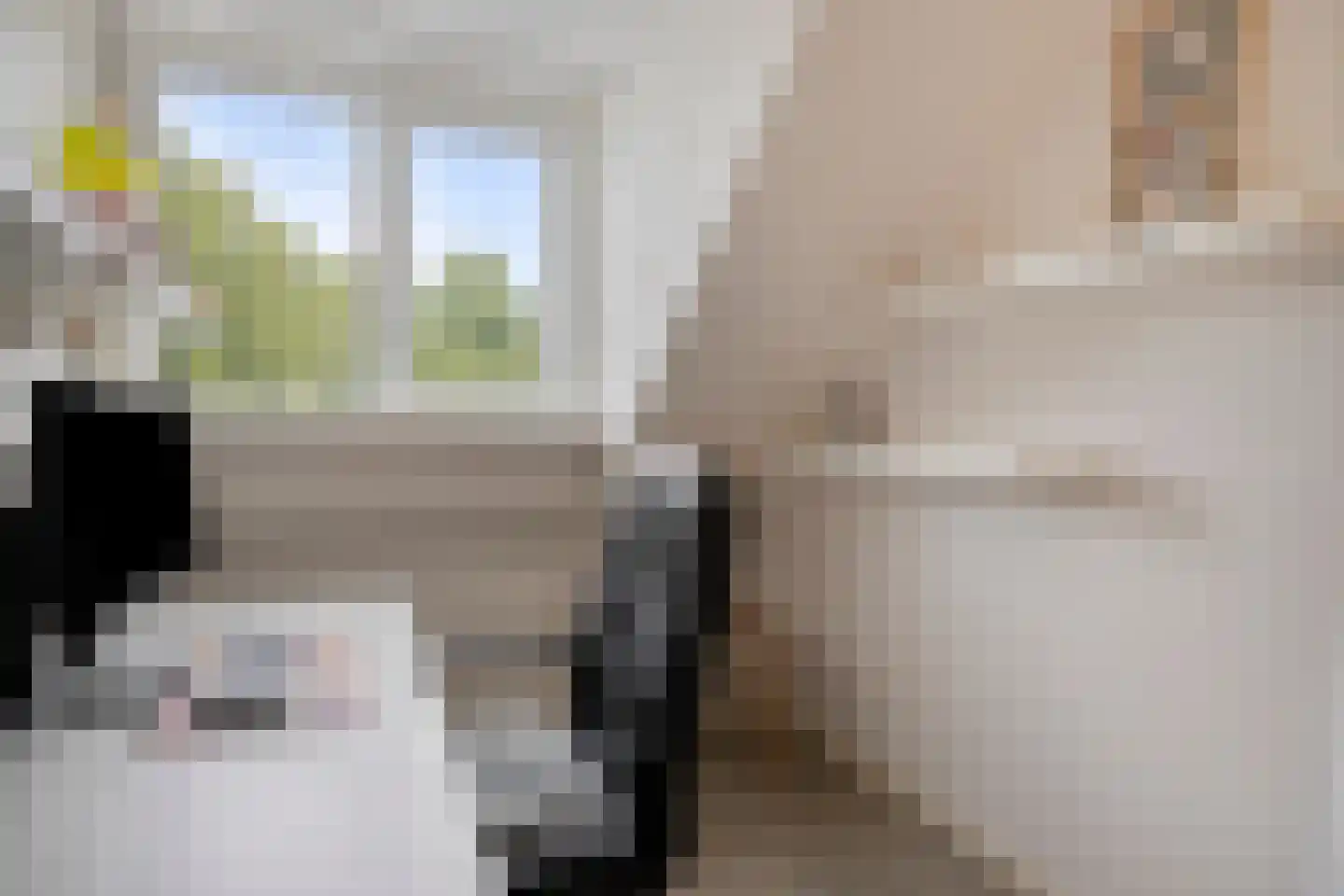 De Zandschel 3 Nuenen thumbnail 18