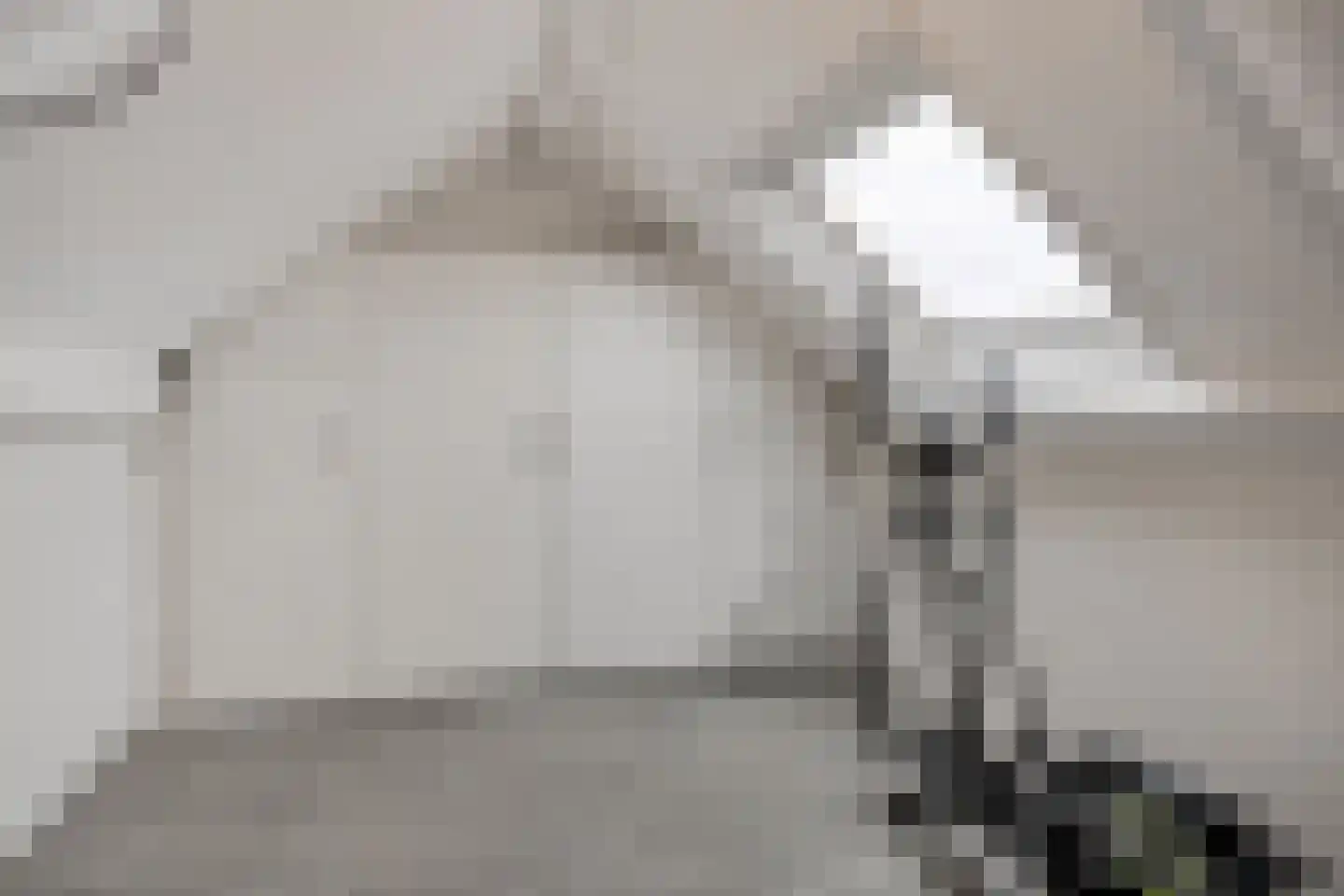 De Zandschel 3 Nuenen thumbnail 20
