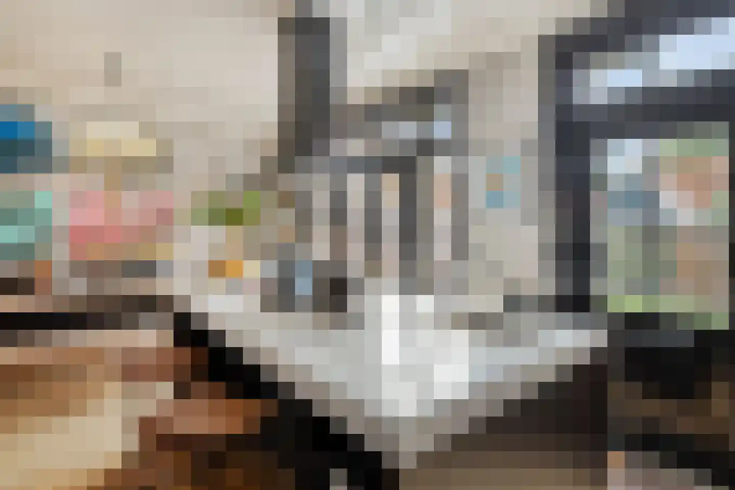 De Zarken 31 Monnickendam thumbnail 20