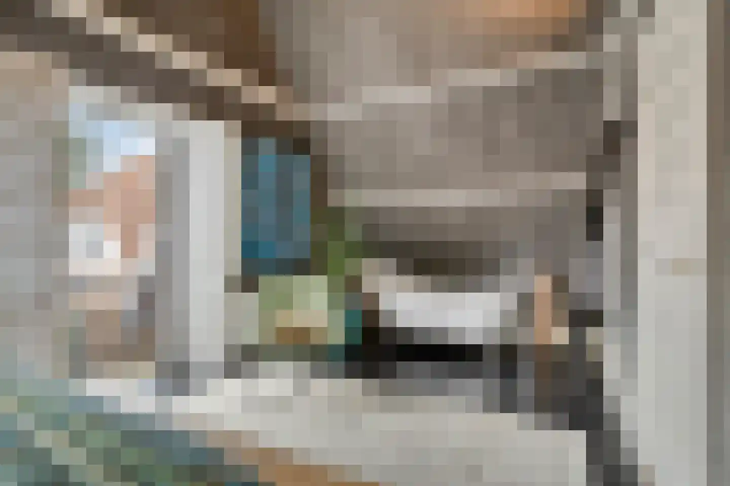 De Zarken 31 Monnickendam thumbnail 27