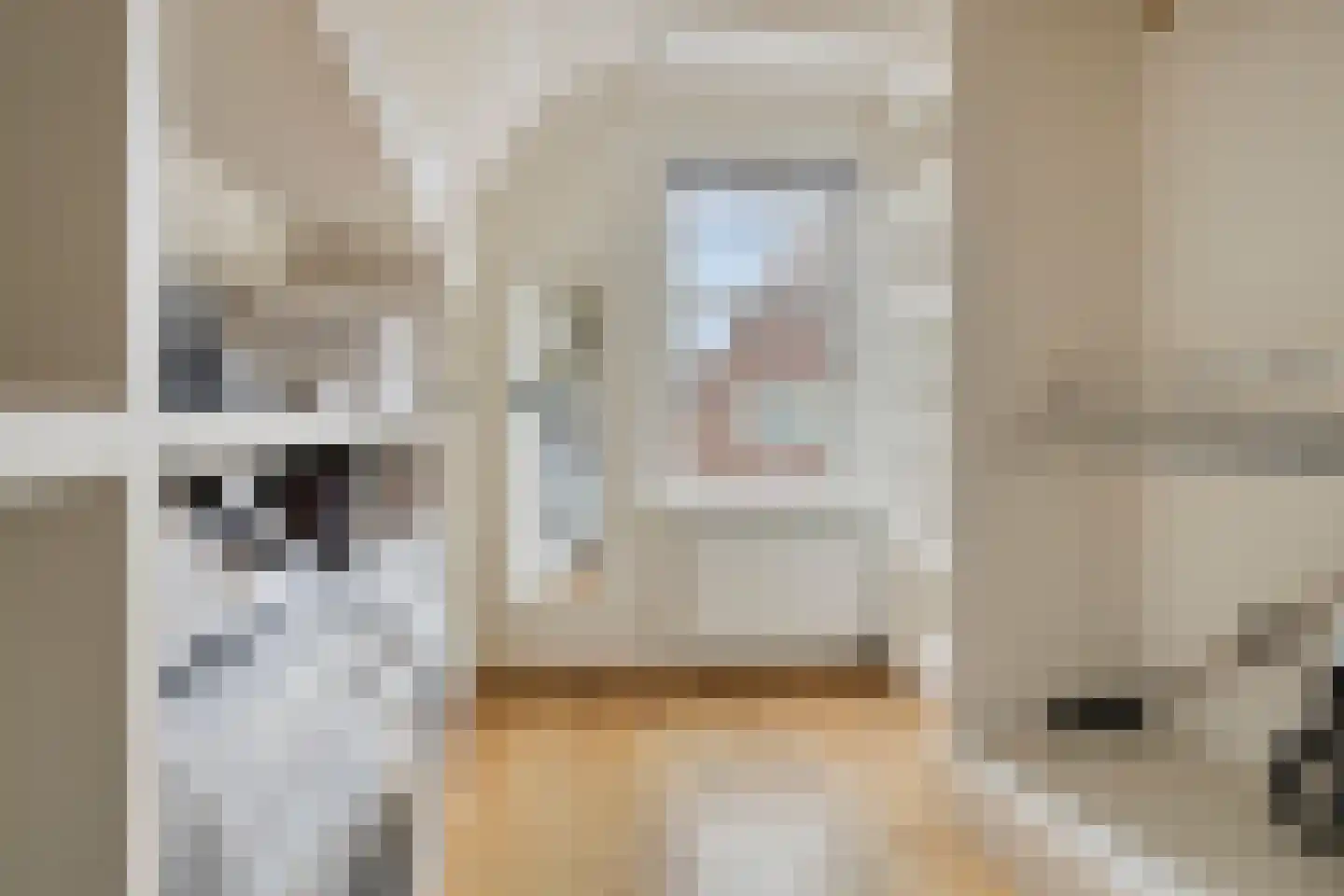 De Zarken 31 Monnickendam thumbnail 37