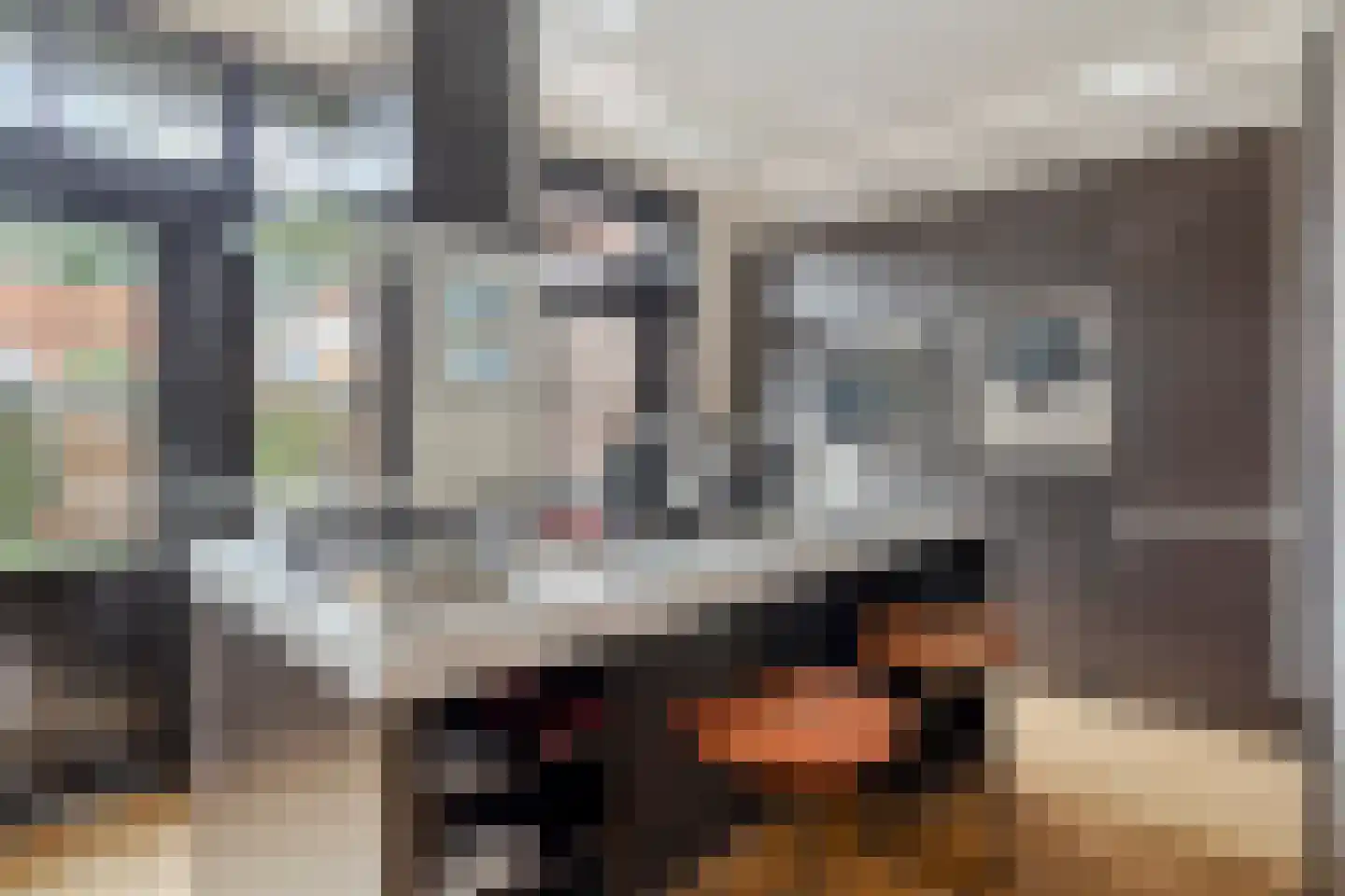 De Zarken 31 Monnickendam thumbnail 4