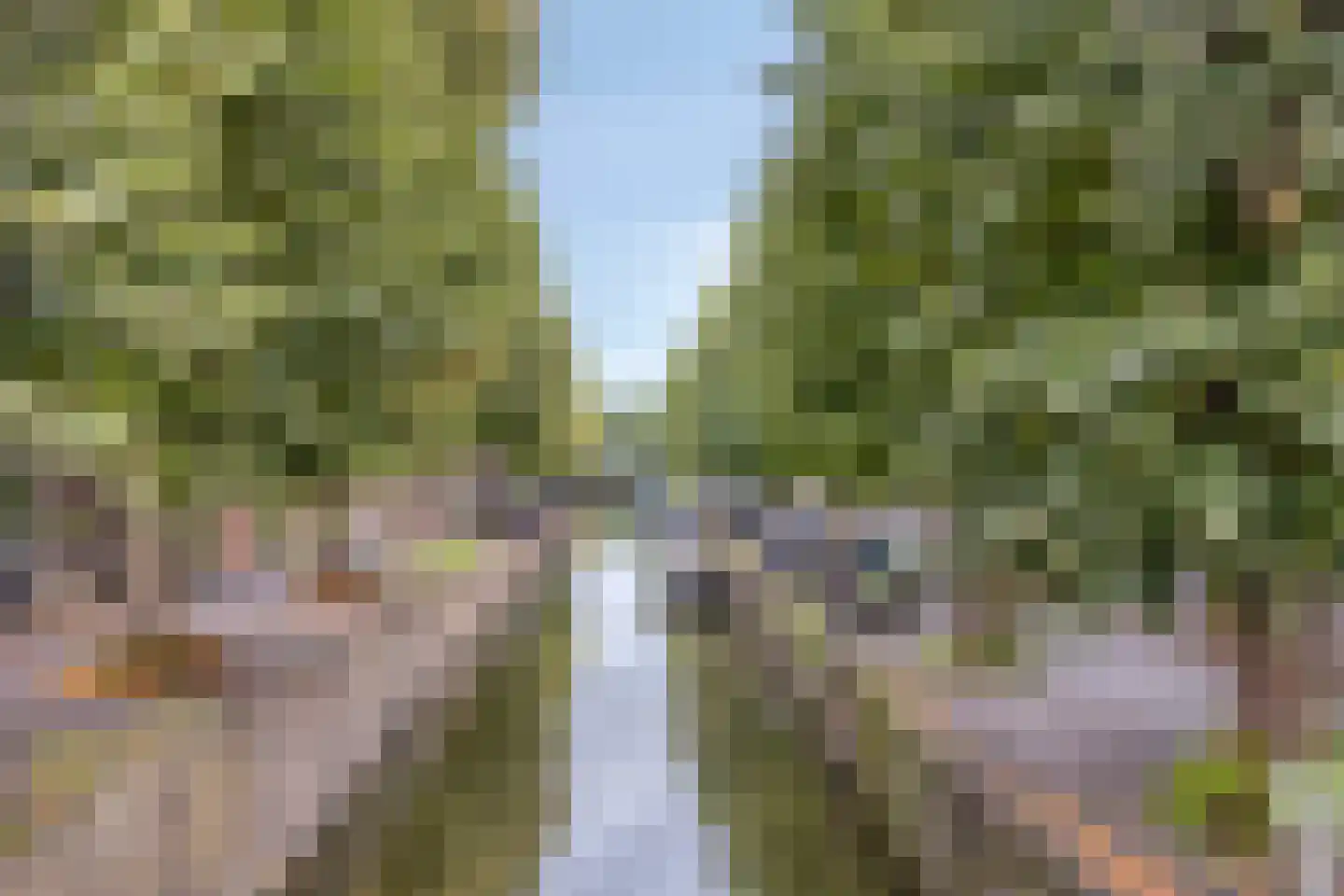 De Zarken 31 Monnickendam thumbnail 54