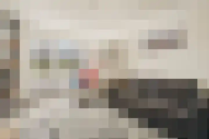 De Zate 42 Dronten thumbnail 12