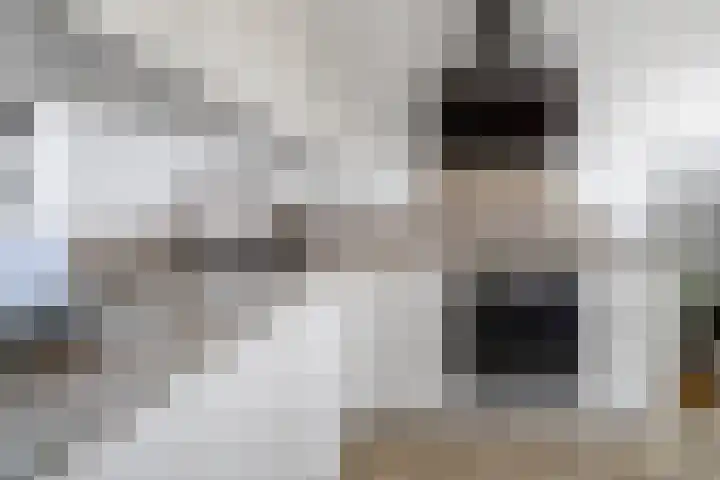 De Zate 42 Dronten thumbnail 14