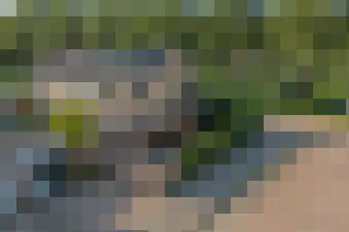 De Zate 42 Dronten foto 2