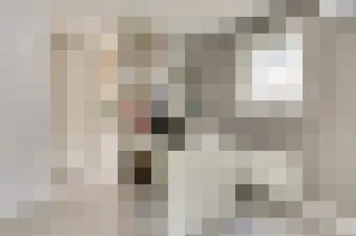 De Zate 42 Dronten thumbnail 24