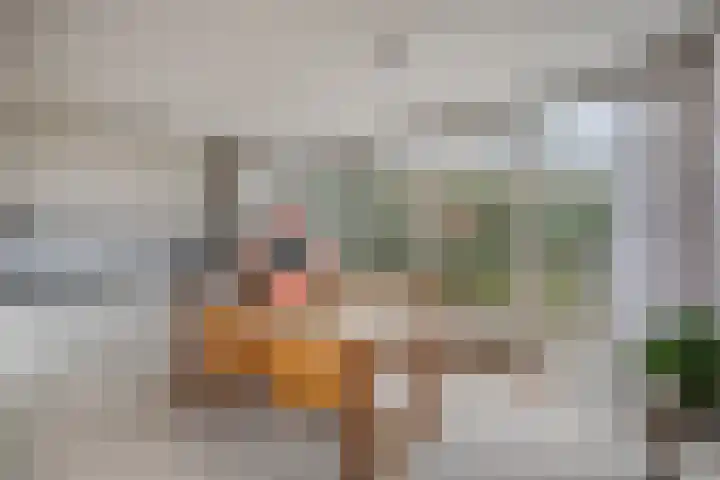 De Zate 42 Dronten thumbnail 30
