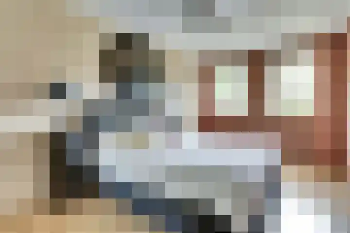 De Zate 42 Dronten thumbnail 31