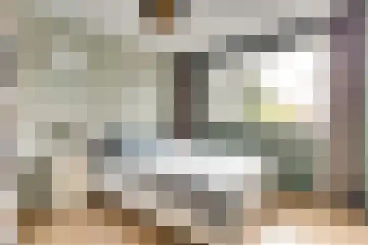 De Zate 42 Dronten thumbnail 32