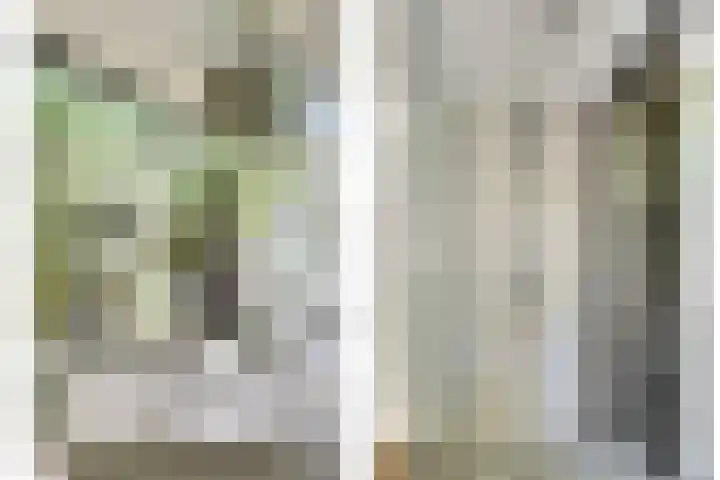 De Zate 42 Dronten thumbnail 33