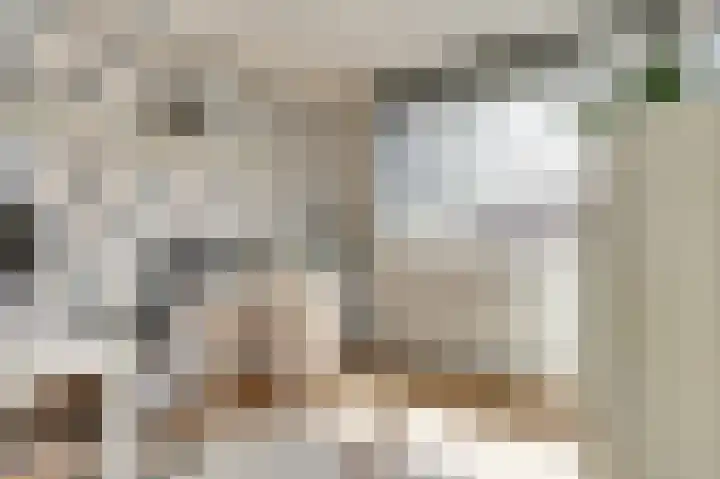 De Zate 42 Dronten thumbnail 34