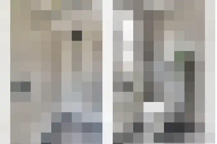 De Zate 42 Dronten thumbnail 39