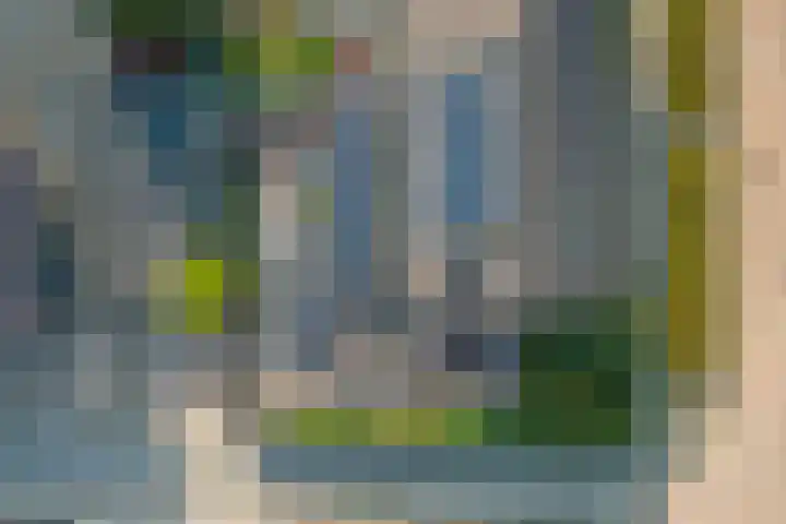 De Zate 42 Dronten thumbnail 50
