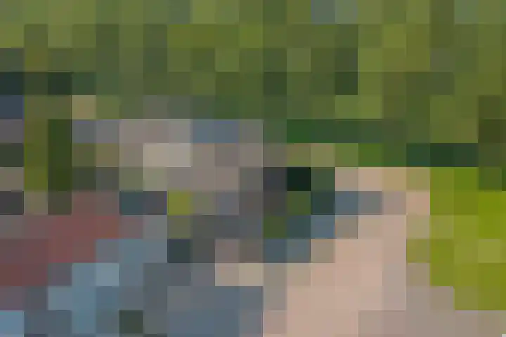 De Zate 42 Dronten thumbnail 52