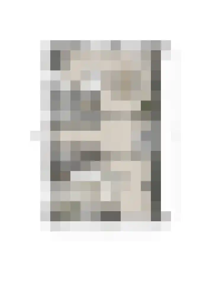 De Zate 42 Dronten thumbnail 57