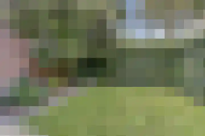 De Zate 42 Dronten thumbnail 59